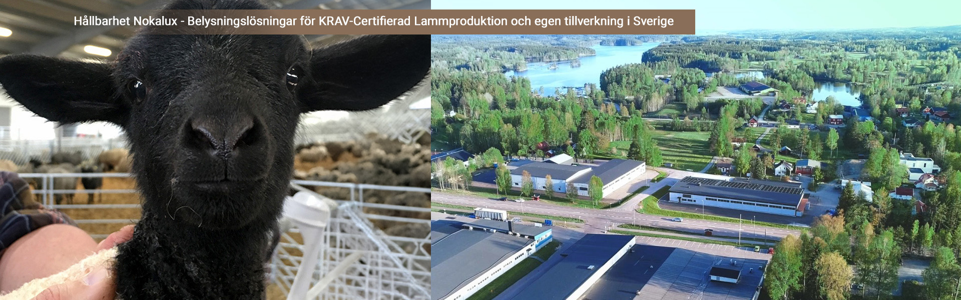 Nokalux och hållbarhet