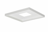 Invoid Optic 6.6